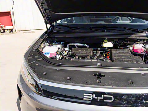 2025�� DM-i �Ǽݰ� 115KM�콢��