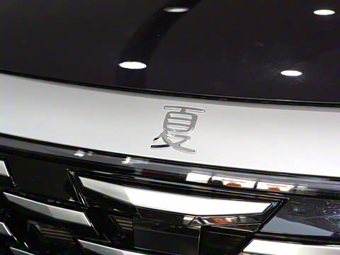 2025�� DM-i 1.5T 180km ��Խ��