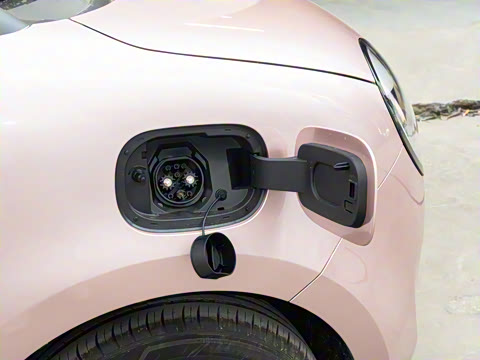 2025�� 205km ���߿�