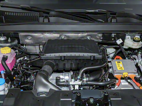 2025�� 1.5T 116km ������ 5��