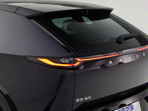 2025�� ����600 Max