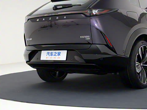 2025�� ����600 Max