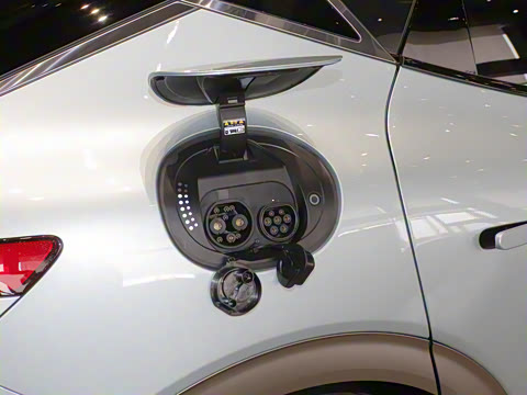 2024�� ˫�������������