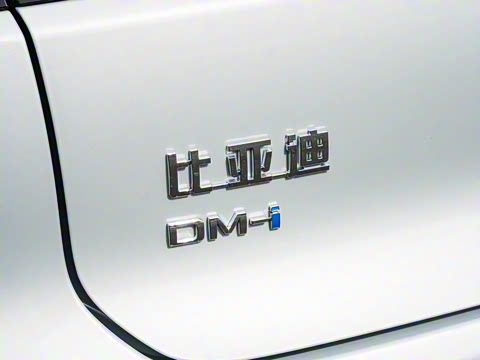 2025�� DM-i �Ǽݰ� 125KM��Ӣ��