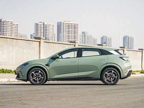 2025�� �Ǽݰ� 505���˰�