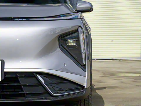 2025�� EM-i 115km Զ����