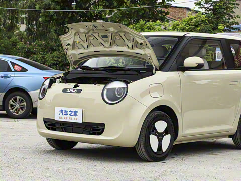 2025�� 205km ���߿�