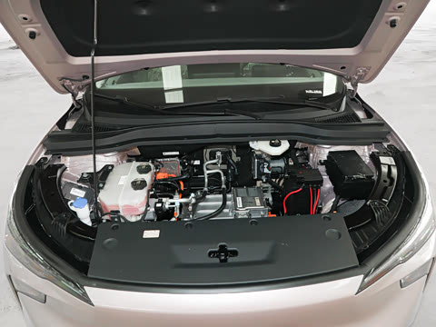 2025�� 445km ���ð�