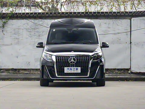 2025�� �������Ȱ�