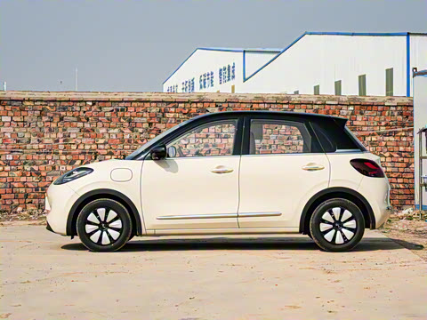 2025�� 333km ��Ϭ������