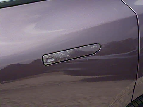 2025�� 550������