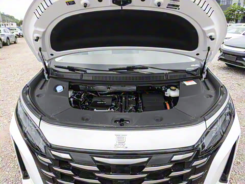 2025�� DM-i 1.5T 100km �캽��