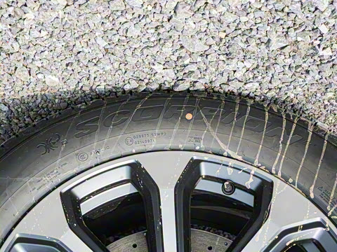 2025�� �����Ǽ�Max��