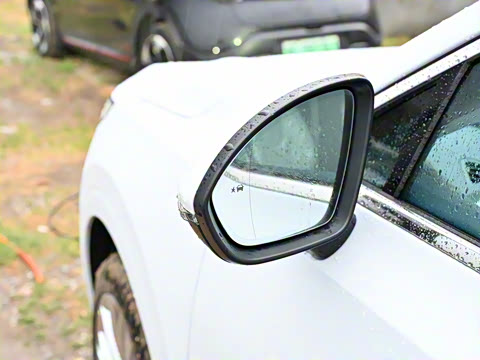 2025�� ������Plus ����Avenir��ά��