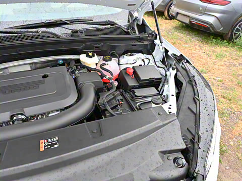 2025�� ������Plus ����Avenir��ά��