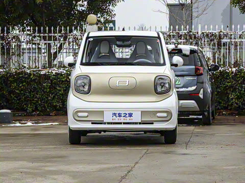 2025�� 222km ������