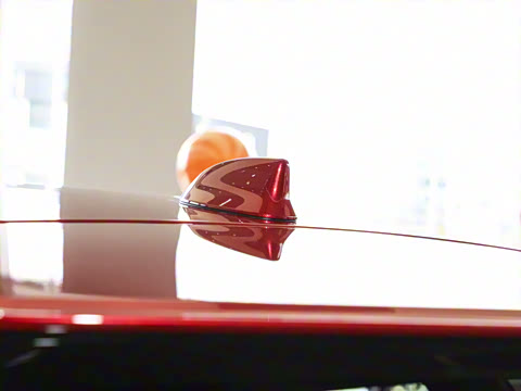 2025�� 300 ����������