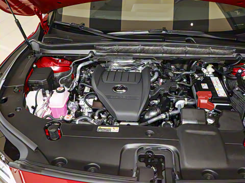 2025�� 300 ����������