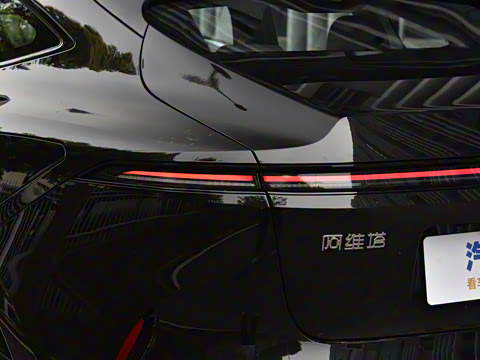 2025�� Max ���̰�