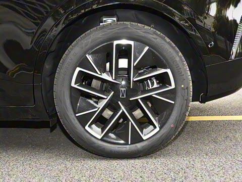 2025�� Max ���̰�