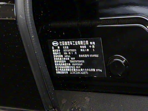 2024�� DM-p ս���