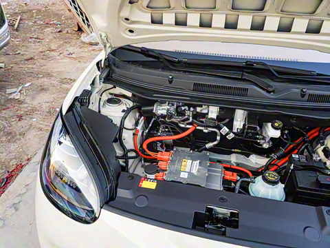 2025�� 333km ��Ϭ������