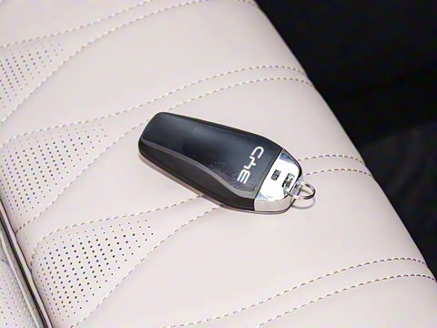 2025�� �Ǽݰ� DM-i 115KM �콢��