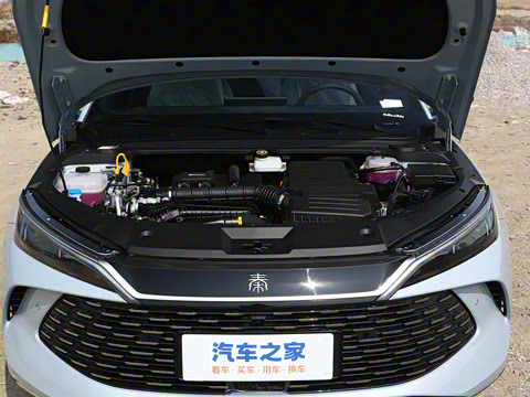 2025�� DM-i �Ǽݰ� 80KM������