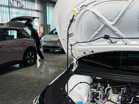 2026�� ������