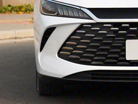 2025�� DM-i �Ǽݰ� 55KM������