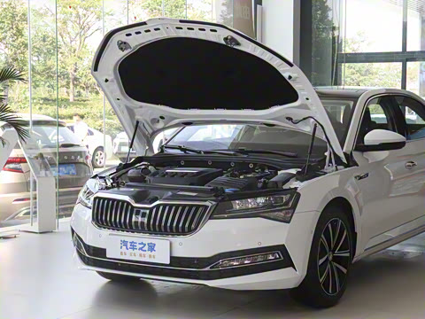 2025�� TSI330 DSG������