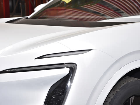 2024�� Max�����