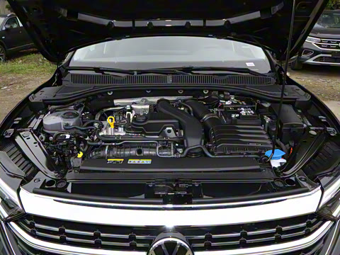 2025�� �Ŀ� 300TSI DSG׿Խ��