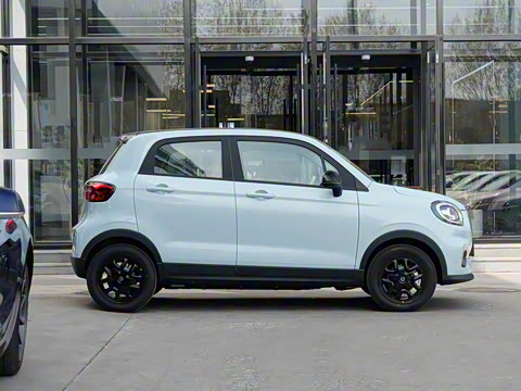 2025�� 310������