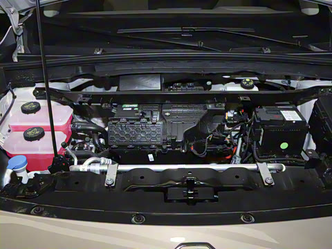 2025�� 425plus ������