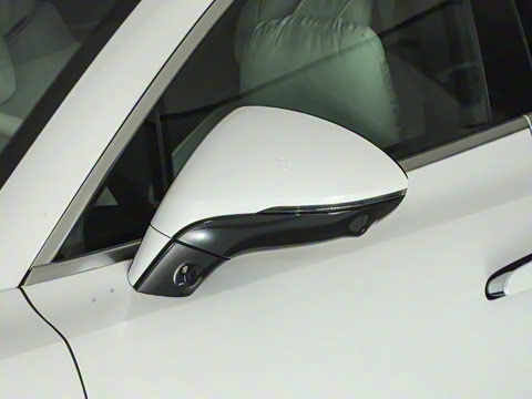 2024�� 1100km ����Pro��