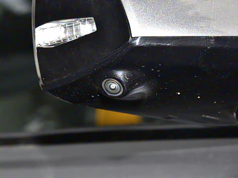 2025�� �����˶���