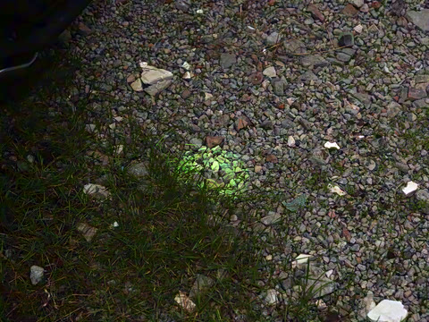 2025�� DM-i �Ǽݰ� 125KM�����״��콢��