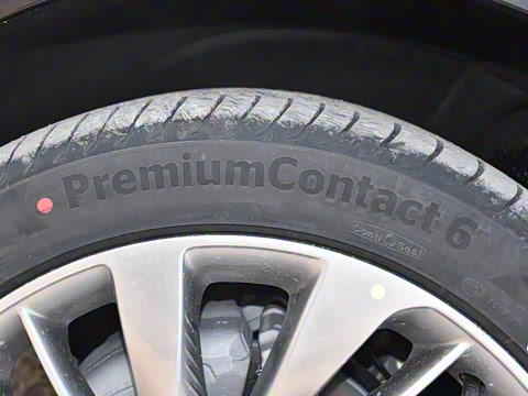 2025�� ������Plus ����Avenir��ά��