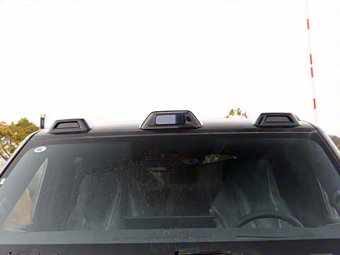 2025�� ���º����� 7��