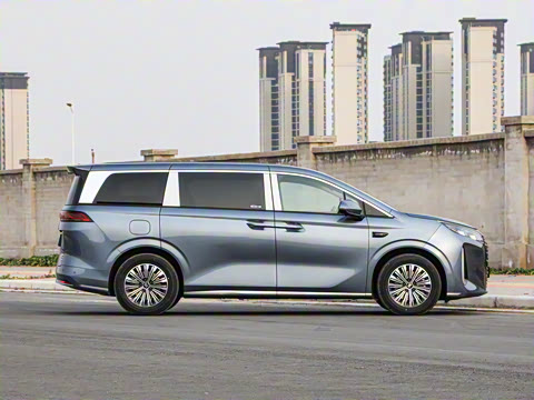 2025�� DM-i 1.5T 100km ��Խ��