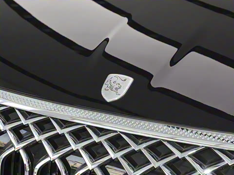 2024�� 1.5TD 100km �й���ϵ�� ������