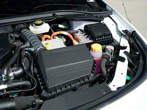 2025�� 145km ������