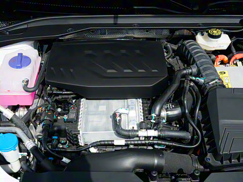 2025�� 145km ������