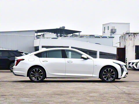 2025�� 28T �����˶���