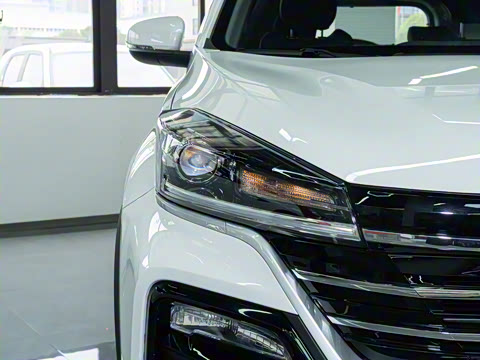 2025�� 1.5L �ֶ����ʰ�