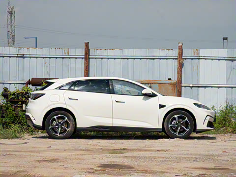 2025�� �Ǽݰ� 605���˰�