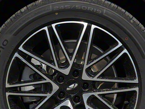 2025�� 260������������