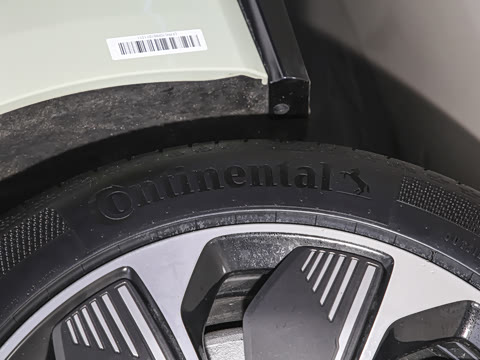 2025�� 550��ѡ��