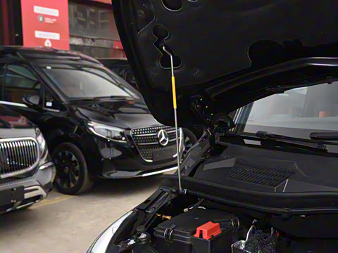 2025�� 2.0T �ǻ�